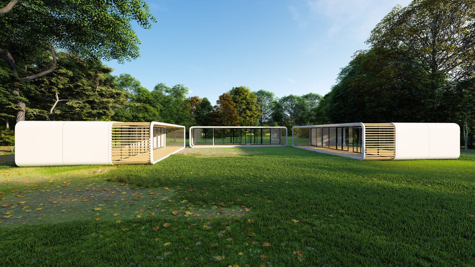 Cinc City - Web Theory